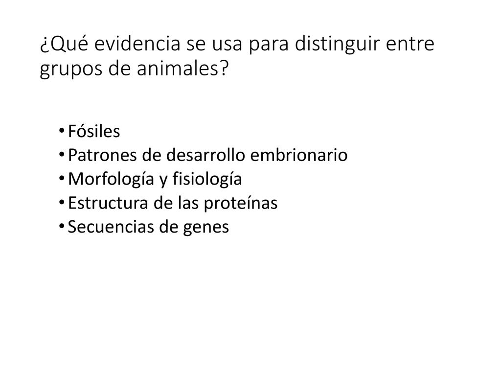¿Qué evidencia se usa para distinguir entre grupos de animales