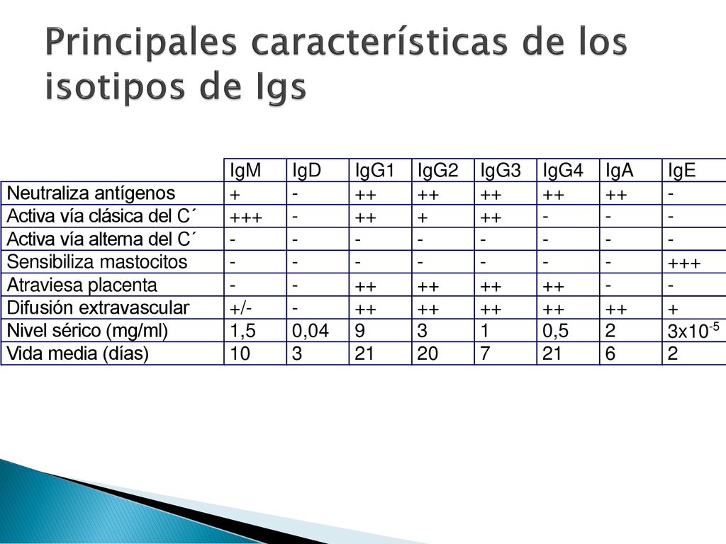 Principales características de los isotipos de Igs