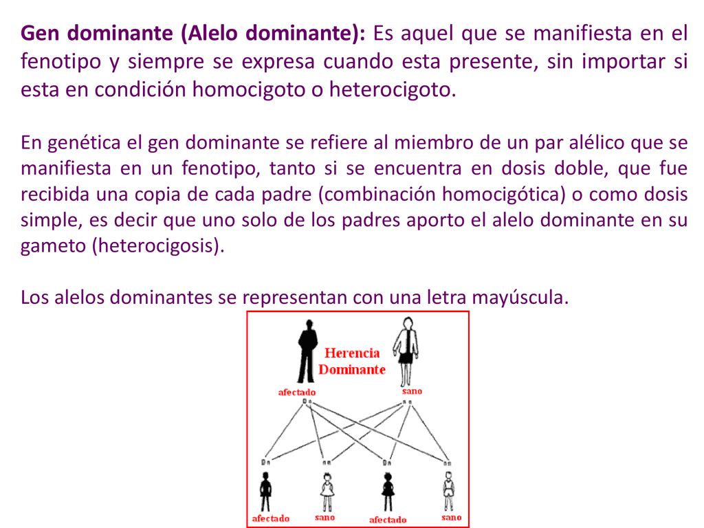 Gen dominante (Alelo dominante): Es aquel que se manifiesta en el fenotipo y siempre se expresa cuando esta presente, sin importar si esta en condición homocigoto o heterocigoto.