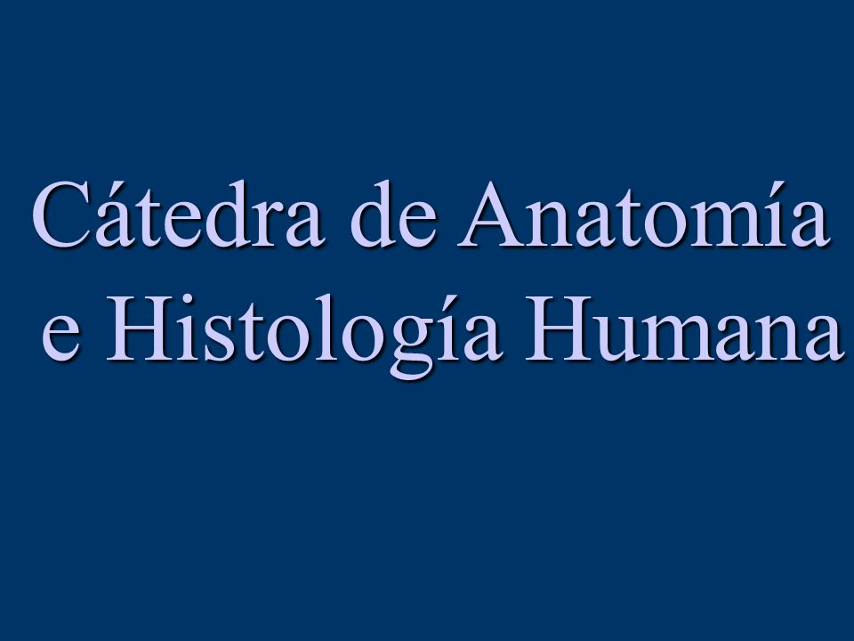Cátedra de Anatomía e Histología Humana