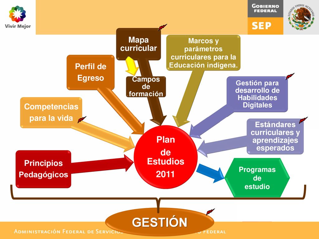 GESTIÓN Plan de Estudios 2011 Mapa curricular Perfil de Egreso
