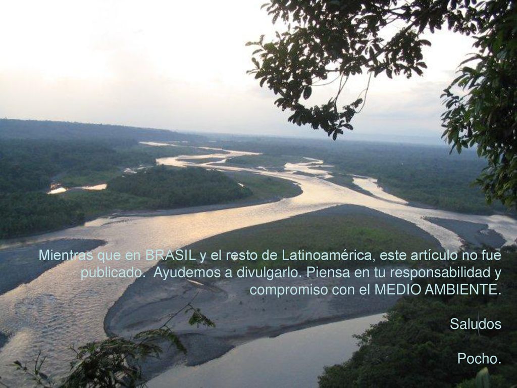 Mientras que en BRASIL y el resto de Latinoamérica, este artículo no fue publicado. Ayudemos a divulgarlo. Piensa en tu responsabilidad y compromiso con el MEDIO AMBIENTE.