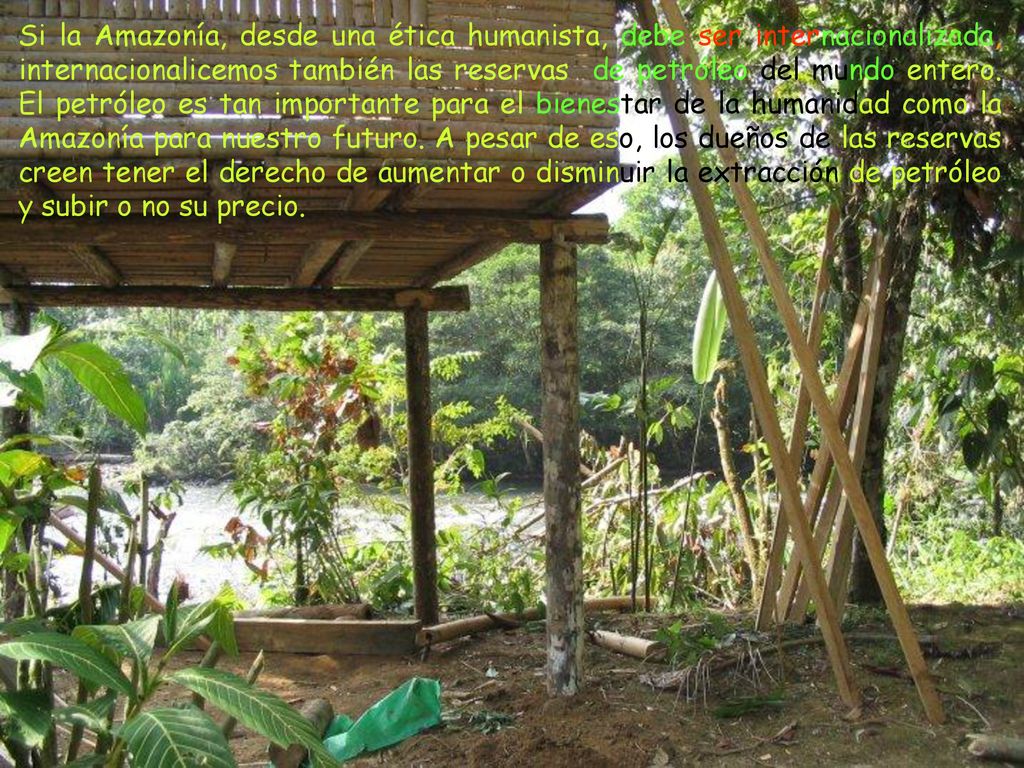 Si la Amazonía, desde una ética humanista, debe ser internacionalizada, internacionalicemos también las reservas de petróleo del mundo entero.