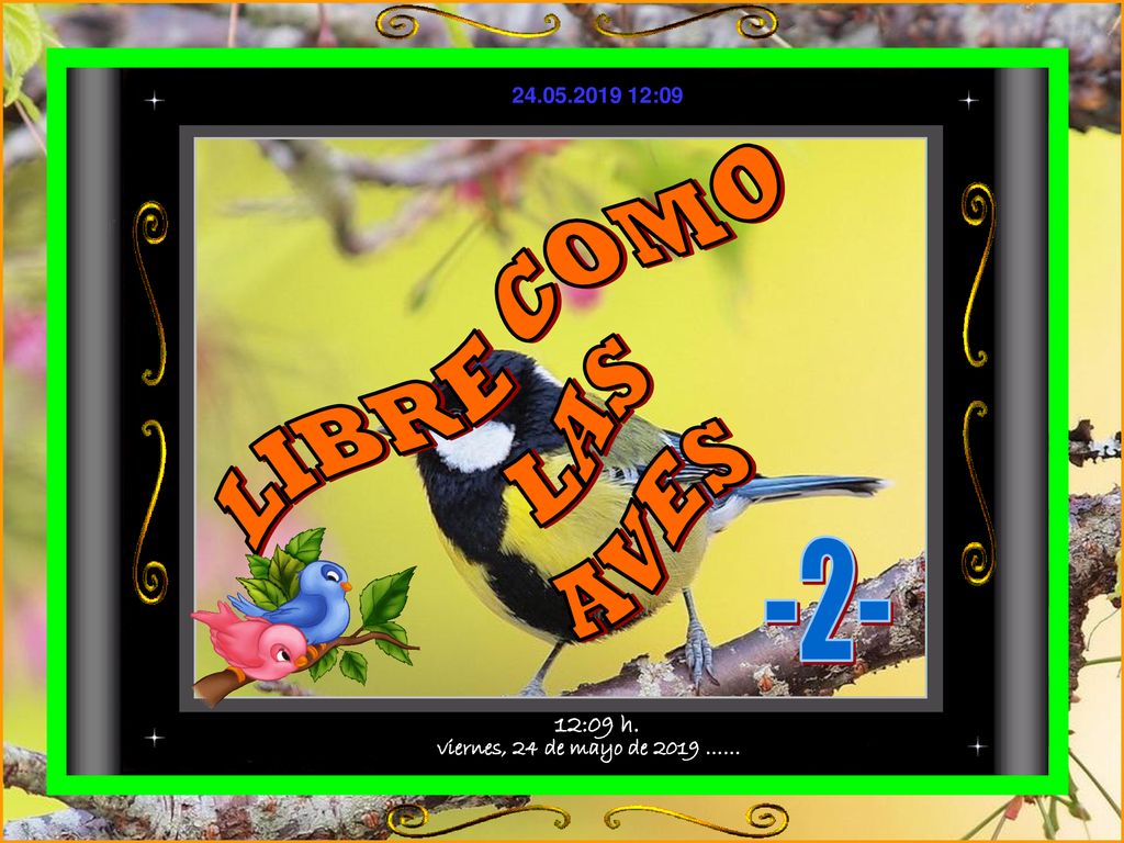 LIBRE COMO LAS AVES -2- viernes, 24 de mayo de 2019 …… 12:09 h.