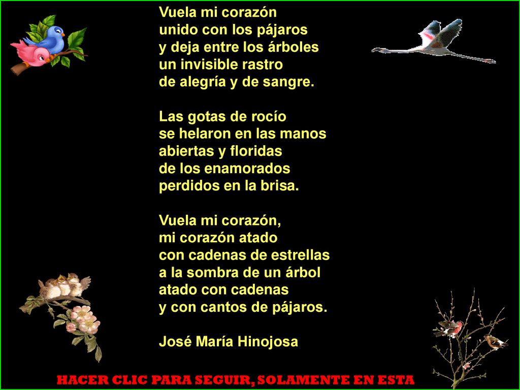 Vuela mi corazón unido con los pájaros y deja entre los árboles un invisible rastro de alegría y de sangre. Las gotas de rocío se helaron en las manos abiertas y floridas de los enamorados perdidos en la brisa. Vuela mi corazón, mi corazón atado con cadenas de estrellas a la sombra de un árbol atado con cadenas y con cantos de pájaros.