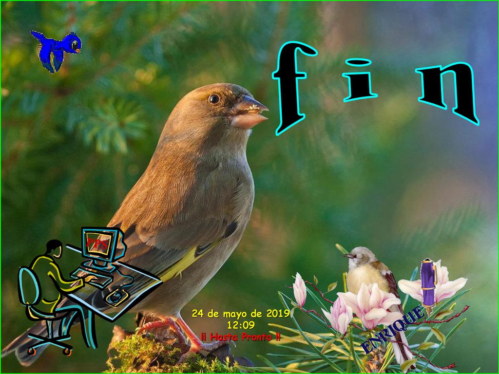 f i n PPS 24 de mayo de :09 ¡¡ Hasta Pronto !!