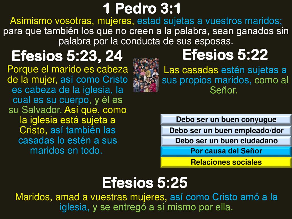 1 Pedro 3:1 Efesios 5:23, 24 Efesios 5:22 Efesios 5:25