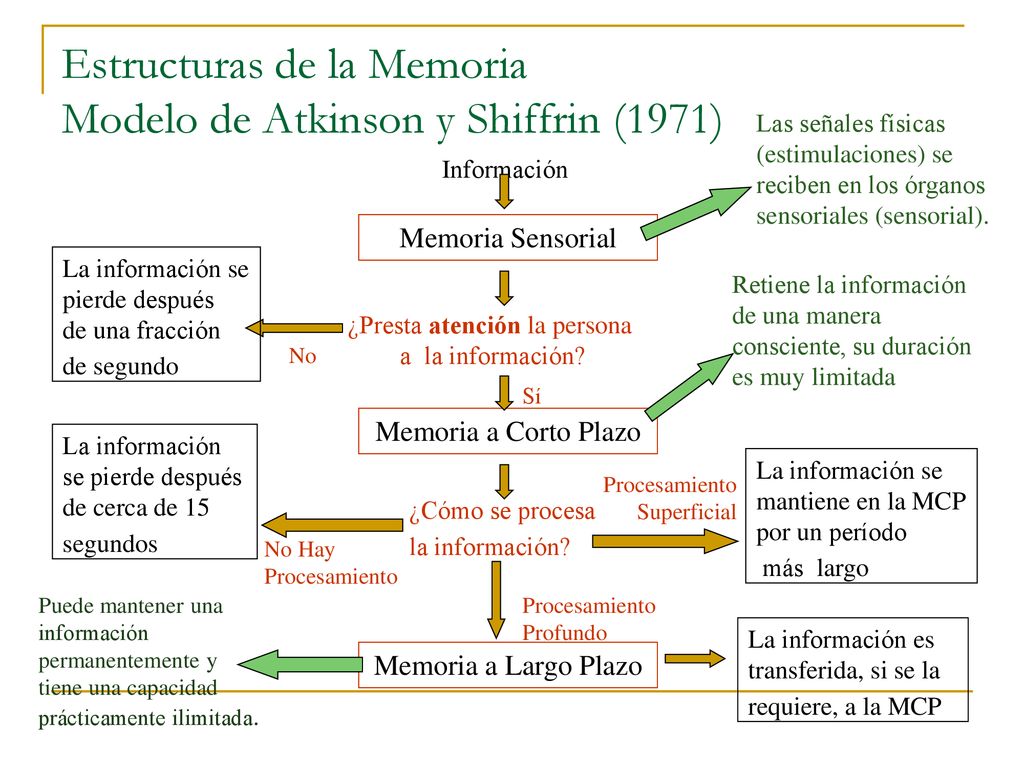 Estructuras de la Memoria Modelo de Atkinson y Shiffrin (1971)