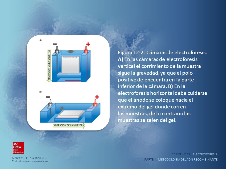 las muestras, de lo contrario las muestras se salen del gel.