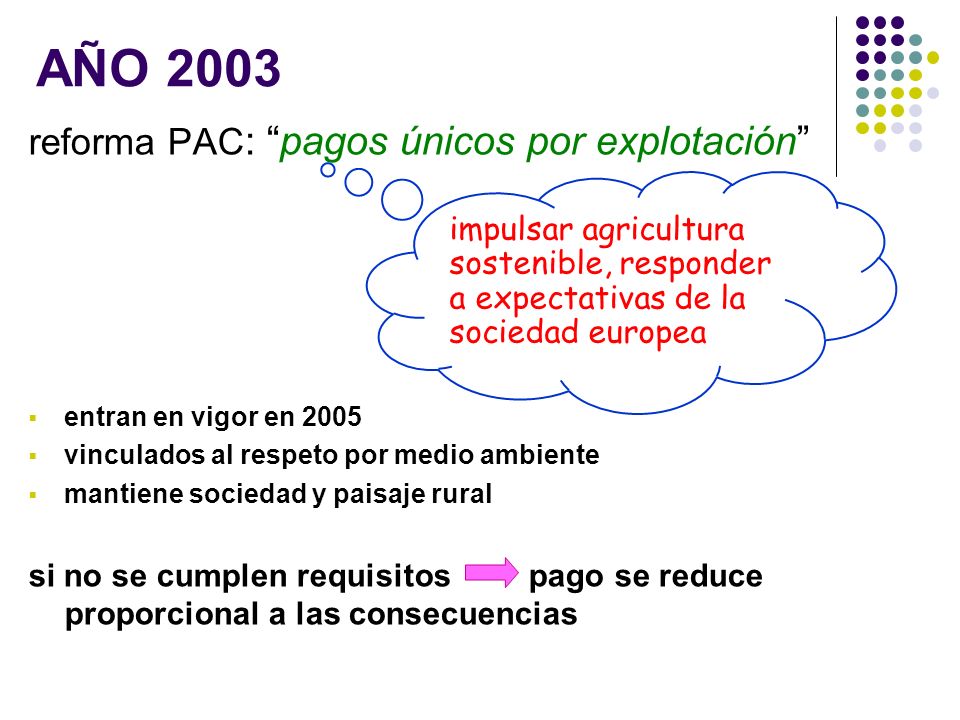 AÑO 2003 reforma PAC: pagos únicos por explotación