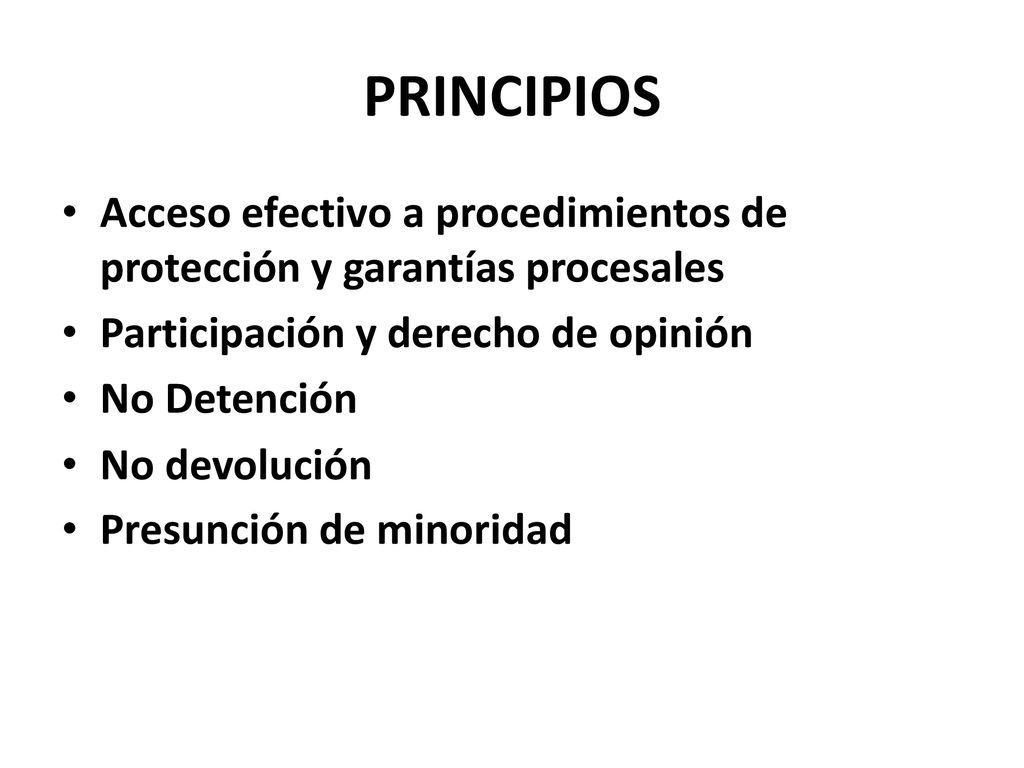 PRINCIPIOS Acceso efectivo a procedimientos de protección y garantías procesales. Participación y derecho de opinión.