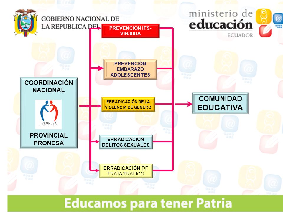 COMUNIDAD EDUCATIVA COORDINACIÓN NACIONAL PROVINCIAL PRONESA