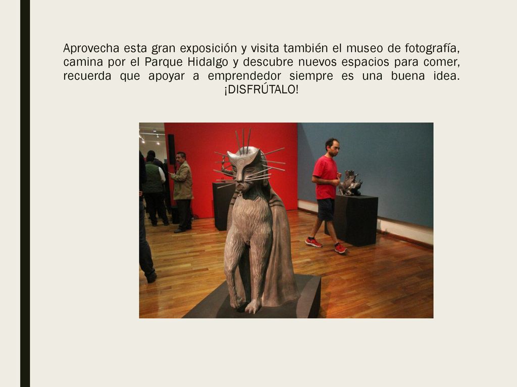 Aprovecha esta gran exposición y visita también el museo de fotografía, camina por el Parque Hidalgo y descubre nuevos espacios para comer, recuerda que apoyar a emprendedor siempre es una buena idea.