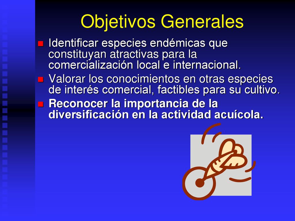 Objetivos Generales Identificar especies endémicas que constituyan atractivas para la comercialización local e internacional.