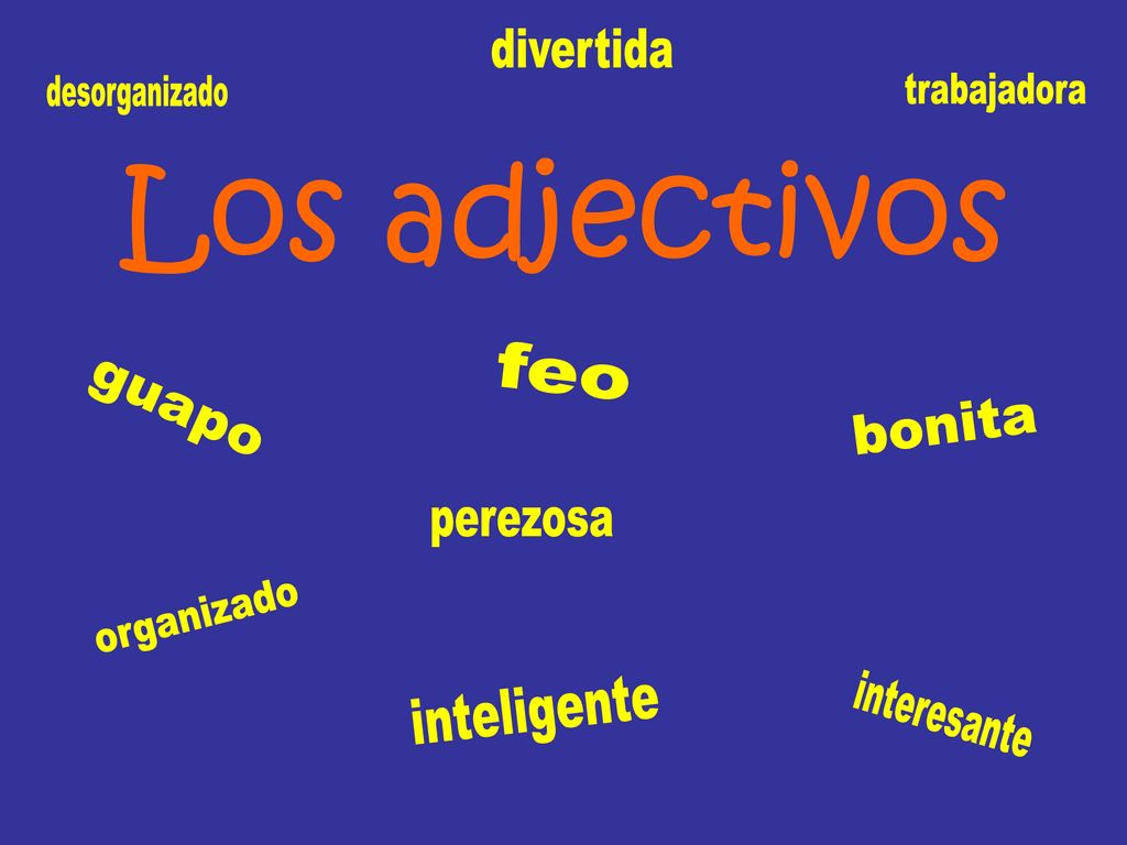 Los adjectivos divertida desorganizado trabajadora feo guapo bonita