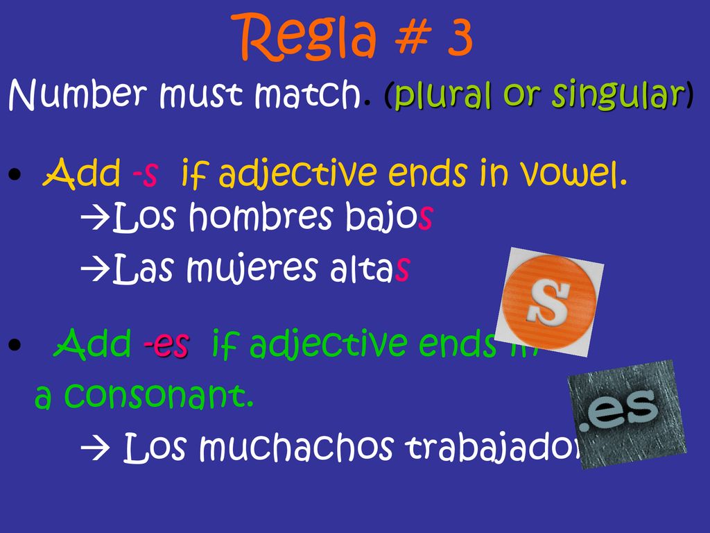 Regla # 3 Number must match. (plural or singular)
