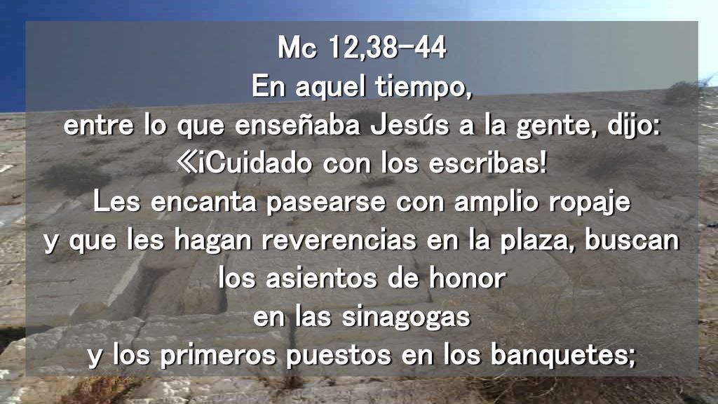 Mc 12,38-44 En aquel tiempo, entre lo que enseñaba Jesús a la gente, dijo: «¡Cuidado con los escribas.