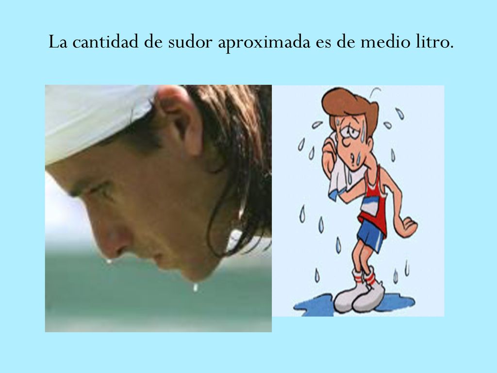La cantidad de sudor aproximada es de medio litro.