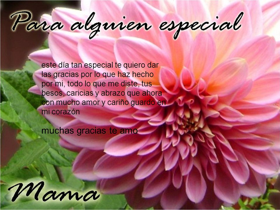 este día tan especial te quiero dar las gracias por lo que haz hecho por mi, todo lo que me diste, tus besos, caricias y abrazo que ahora con mucho amor y cariño guardo en mi corazón