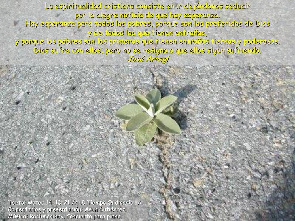 La espiritualidad cristiana consiste en ir dejándonos seducir por la alegre noticia de que hay esperanza. Hay esperanza para todos los pobres, porque son los preferidos de Dios y de todos los que tienen entrañas, y porque los pobres son los primeros que tienen entrañas tiernas y poderosas. Dios sufre con ellos, pero no se resigna a que ellos sigan sufriendo.