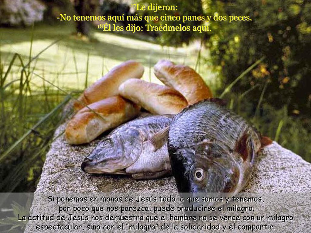 17Le dijeron: -No tenemos aquí más que cinco panes y dos peces