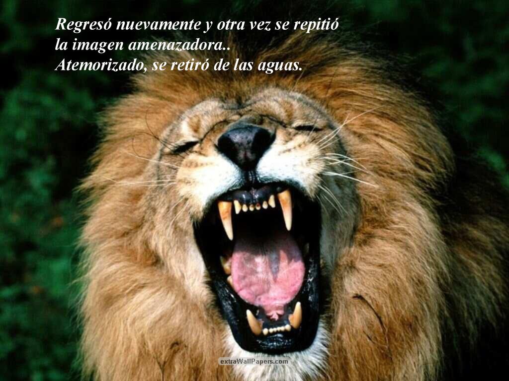 Regresó nuevamente y otra vez se repitió la imagen amenazadora..
