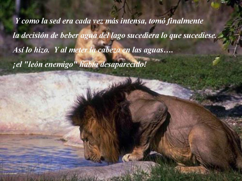 Y como la sed era cada vez más intensa, tomó finalmente. la decisión de beber agua del lago sucediera lo que sucediese.