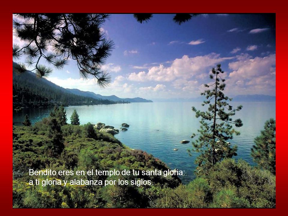 Bendito eres en el templo de tu santa gloria: