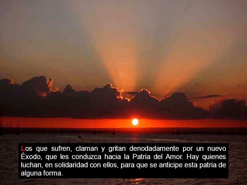 Los que sufren, claman y gritan denodadamente por un nuevo Éxodo, que les conduzca hacia la Patria del Amor.