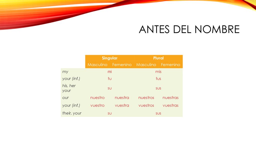 ANTES DEL NOMBRE Singular Plural Masculino Femenino my mi mis