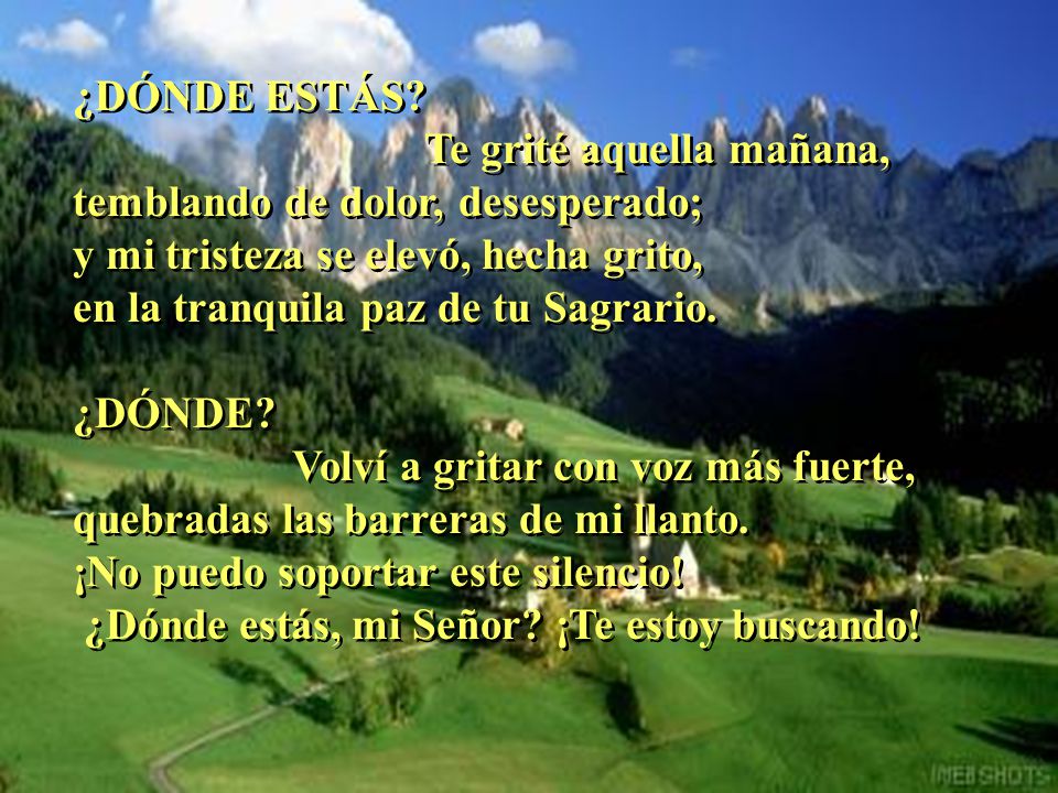 ¿DÓNDE ESTÁS Te grité aquella mañana, temblando de dolor, desesperado; y mi tristeza se elevó, hecha grito,