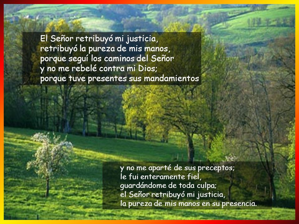 El Señor retribuyó mi justicia, retribuyó la pureza de mis manos, porque seguí los caminos del Señor y no me rebelé contra mi Dios; porque tuve presentes sus mandamientos