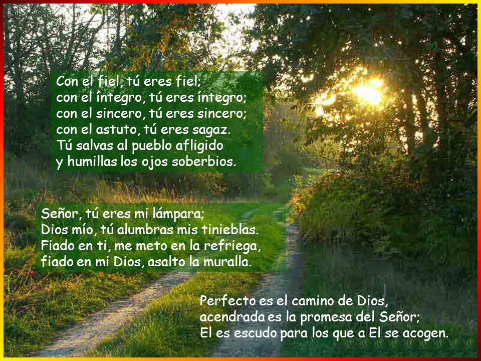 Con el fiel, tú eres fiel; con el íntegro, tú eres íntegro; con el sincero, tú eres sincero; con el astuto, tú eres sagaz. Tú salvas al pueblo afligido y humillas los ojos soberbios.