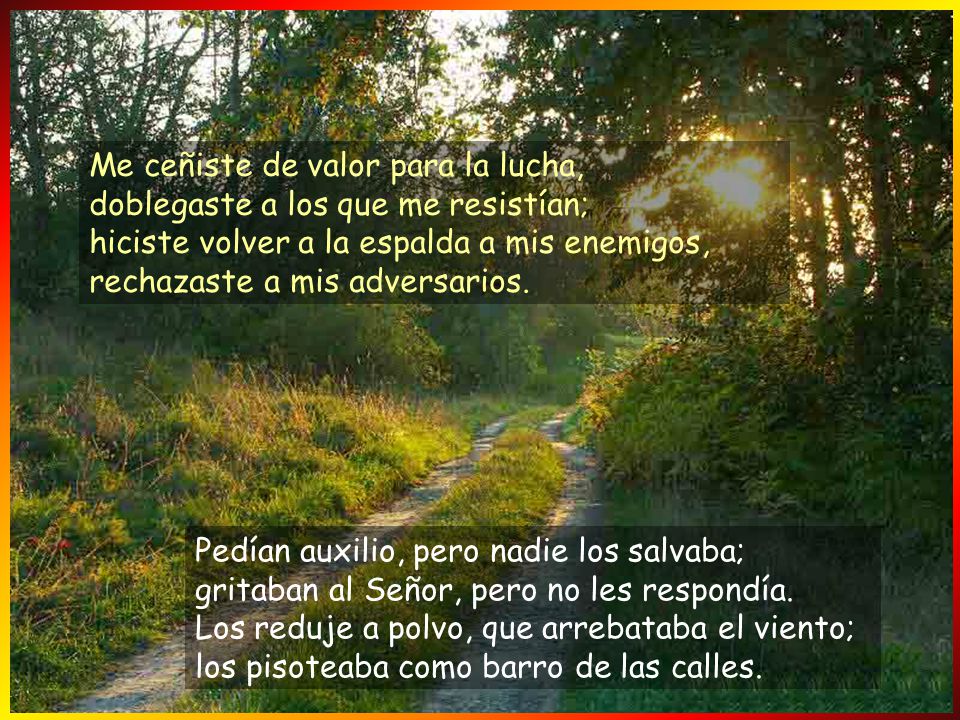 Me ceñiste de valor para la lucha, doblegaste a los que me resistían; hiciste volver a la espalda a mis enemigos, rechazaste a mis adversarios.