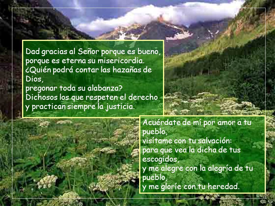 Dad gracias al Señor porque es bueno, porque es eterna su misericordia