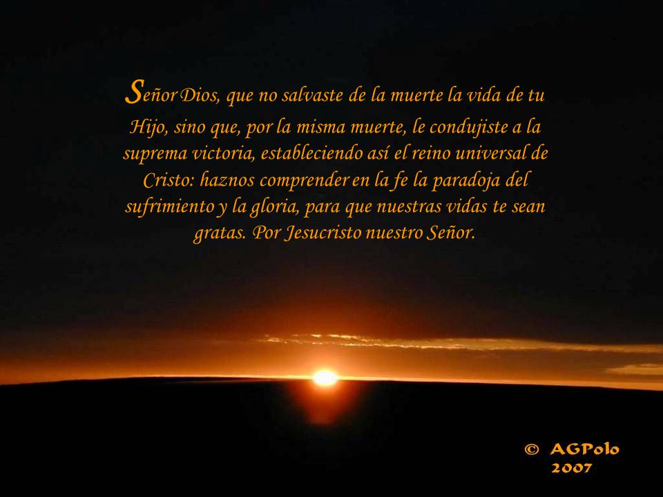Señor Dios, que no salvaste de la muerte la vida de tu Hijo, sino que, por la misma muerte, le condujiste a la suprema victoria, estableciendo así el reino universal de Cristo: haznos comprender en la fe la paradoja del sufrimiento y la gloria, para que nuestras vidas te sean gratas.
