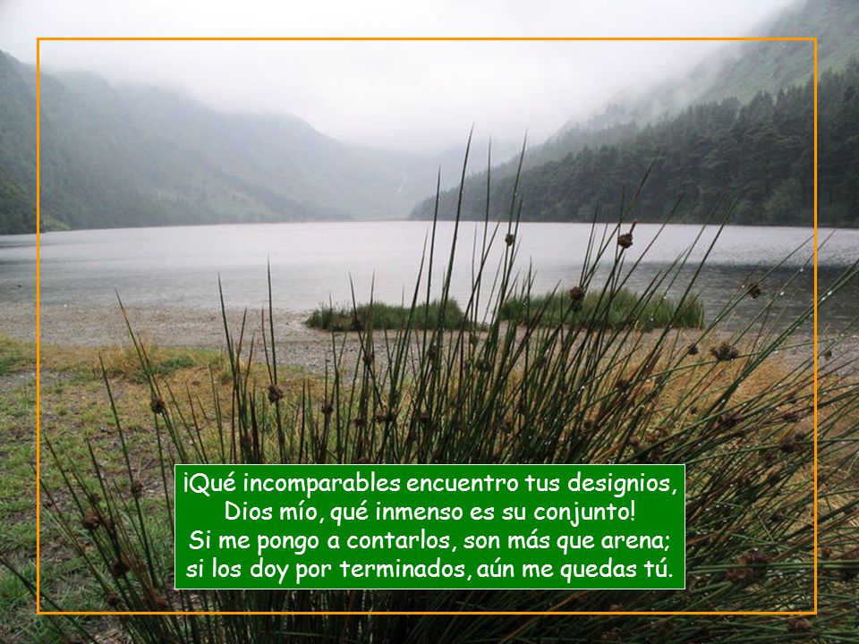 ¡Qué incomparables encuentro tus designios, Dios mío, qué inmenso es su conjunto.