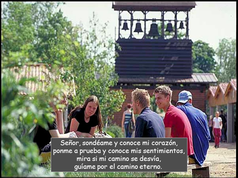 Señor, sondéame y conoce mi corazón, ponme a prueba y conoce mis sentimientos, mira si mi camino se desvía, guíame por el camino eterno.