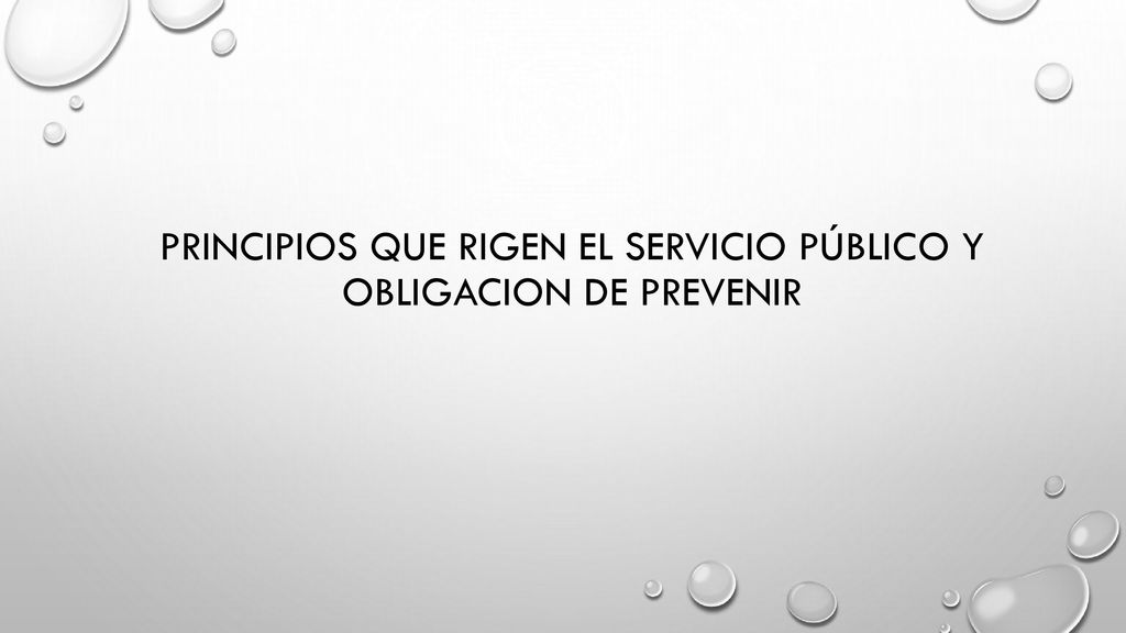 PRINCIPIOS QUE RIGEN EL SERVICIO PÚBLICO Y OBLIGACION DE PREVENIR