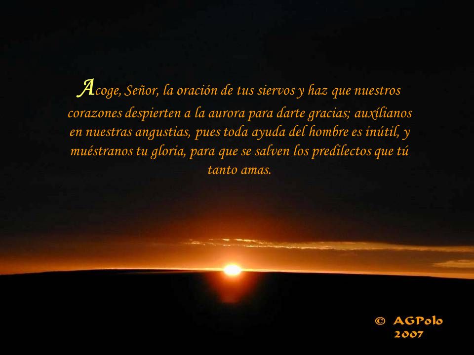 Acoge, Señor, la oración de tus siervos y haz que nuestros corazones despierten a la aurora para darte gracias; auxílianos en nuestras angustias, pues toda ayuda del hombre es inútil, y muéstranos tu gloria, para que se salven los predilectos que tú tanto amas.