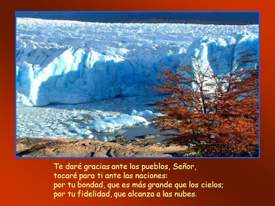 Te daré gracias ante los pueblos, Señor, tocaré para ti ante las naciones: por tu bondad, que es más grande que los cielos; por tu fidelidad, que alcanza a las nubes.