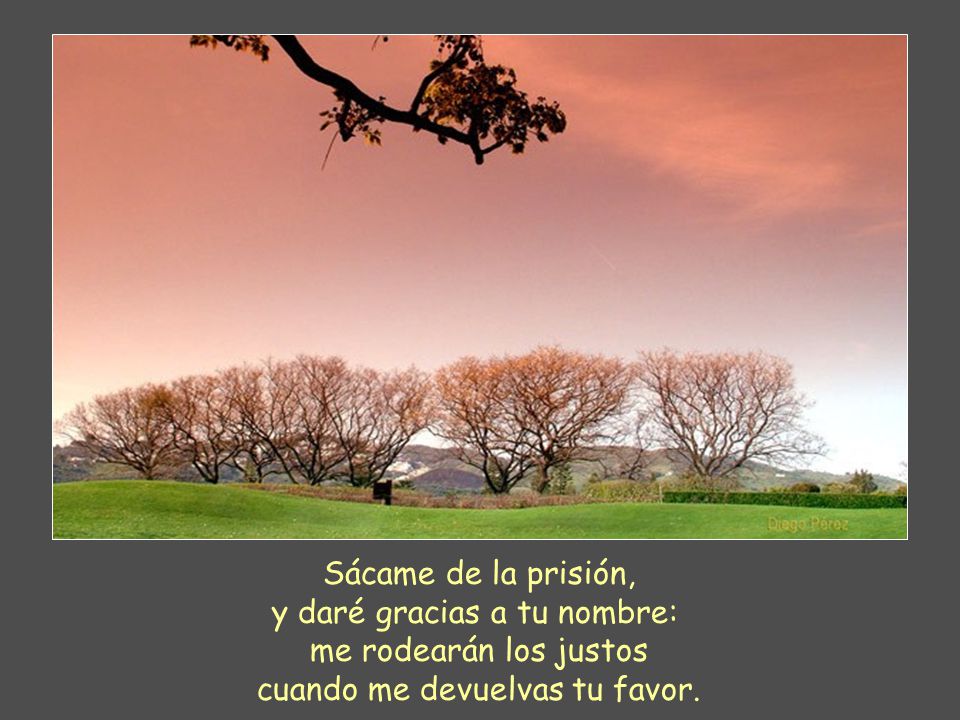 Sácame de la prisión, y daré gracias a tu nombre: me rodearán los justos cuando me devuelvas tu favor.