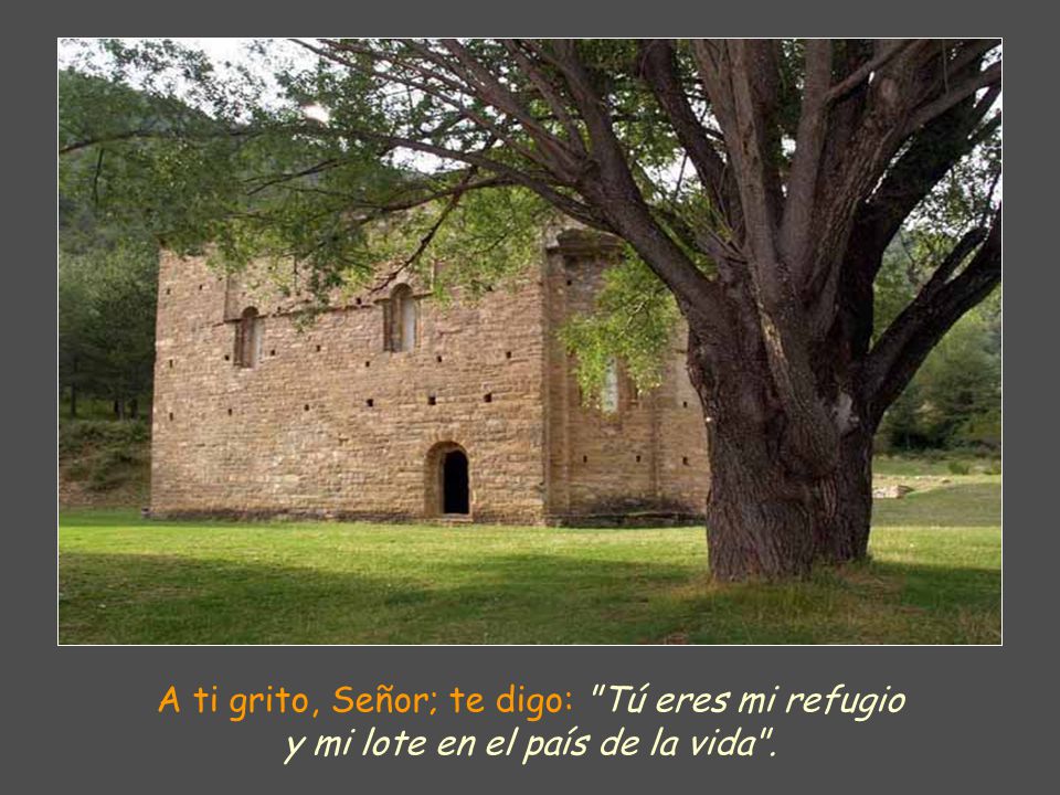 A ti grito, Señor; te digo: Tú eres mi refugio y mi lote en el país de la vida .