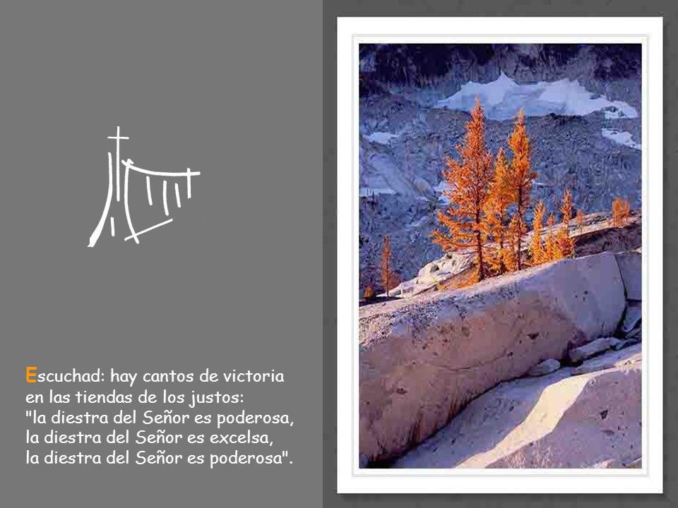 Escuchad: hay cantos de victoria en las tiendas de los justos: la diestra del Señor es poderosa, la diestra del Señor es excelsa, la diestra del Señor es poderosa .