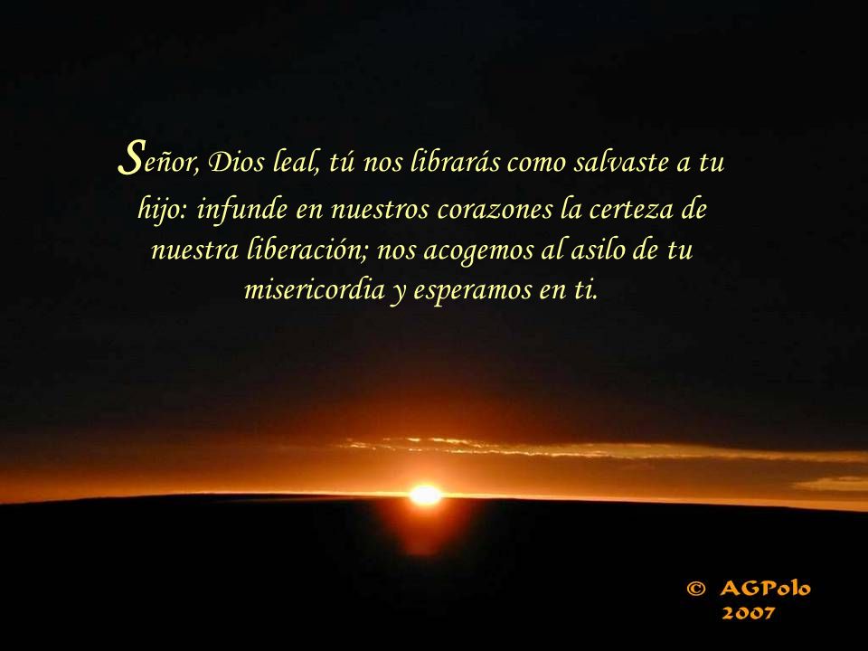 Señor, Dios leal, tú nos librarás como salvaste a tu hijo: infunde en nuestros corazones la certeza de nuestra liberación; nos acogemos al asilo de tu misericordia y esperamos en ti.