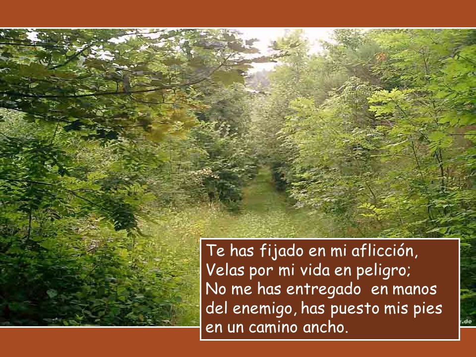 Te has fijado en mi aflicción,