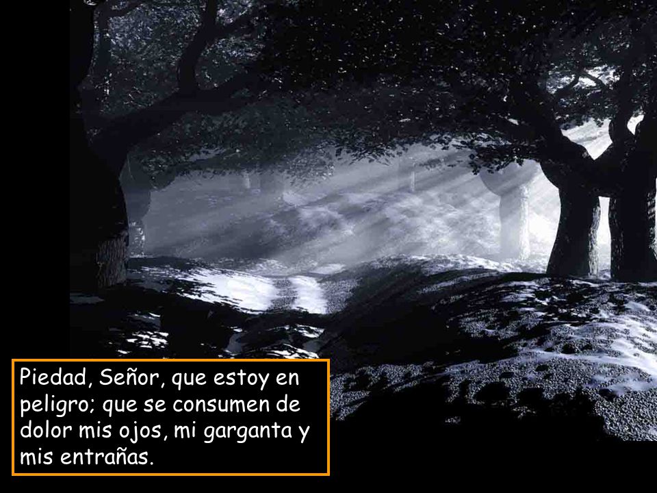 Piedad, Señor, que estoy en peligro; que se consumen de dolor mis ojos, mi garganta y mis entrañas.