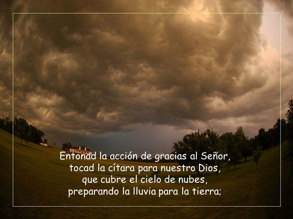 Entonad la acción de gracias al Señor, tocad la cítara para nuestro Dios, que cubre el cielo de nubes, preparando la lluvia para la tierra;