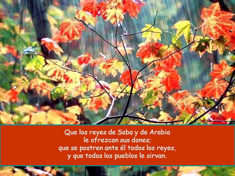 Que los reyes de Saba y de Arabia le ofrezcan sus dones;