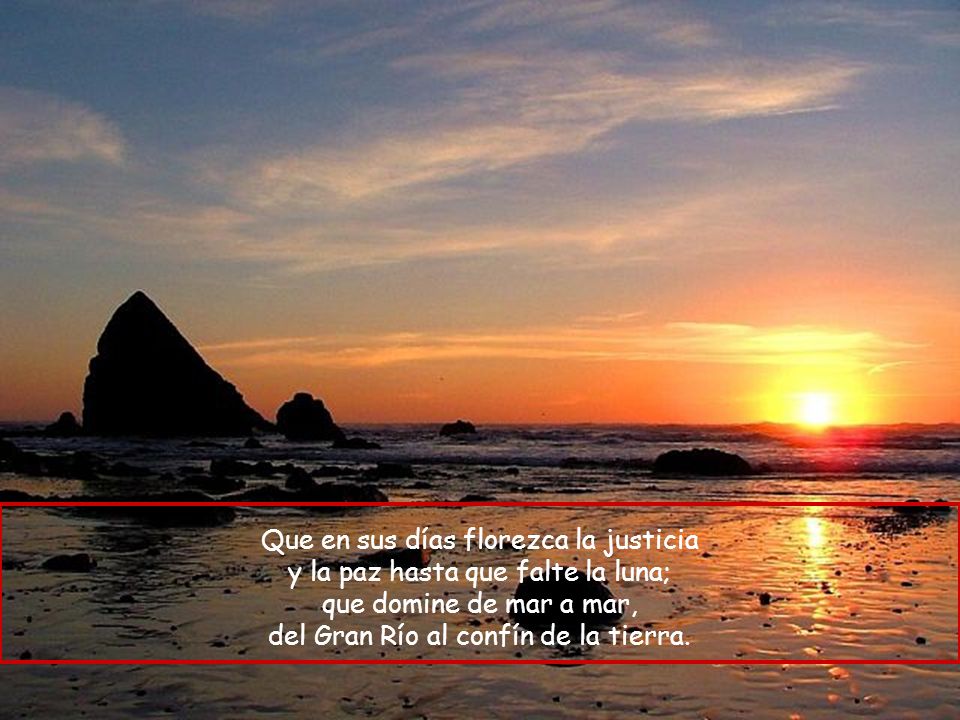 Que en sus días florezca la justicia y la paz hasta que falte la luna;